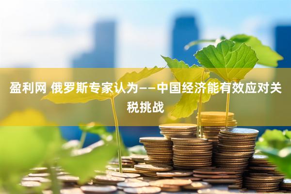 盈利网 俄罗斯专家认为——中国经济能有效应对关税挑战