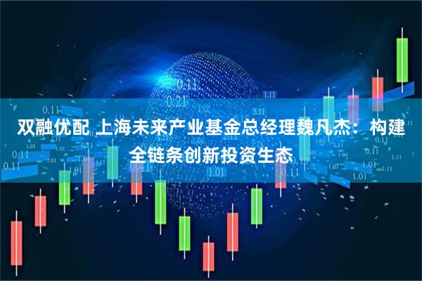 双融优配 上海未来产业基金总经理魏凡杰：构建全链条创新投资生态